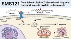 SMS121 from Selleck blocks CD36-mediated fatty acid transport in acute myeloid leukemia cells