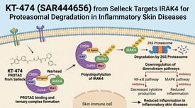 KT-474 (SAR444656) from Selleck Targets IRAK4 for Proteasomal Degradation in Inflammatory Skin Diseases
