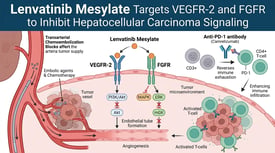 Lenvatinib Mesylate Targets VEGFR-2 and FGFR to Inhibit Hepatocellular Carcinoma Signaling