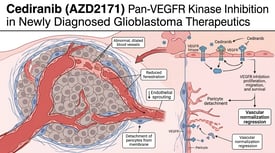 Cediranib (AZD2171) Pan-VEGFR Kinase Inhibition in Newly Diagnosed Glioblastoma Therapeutics